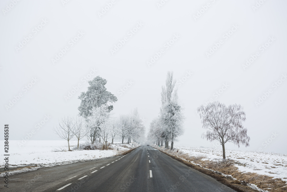 dangerous winter road