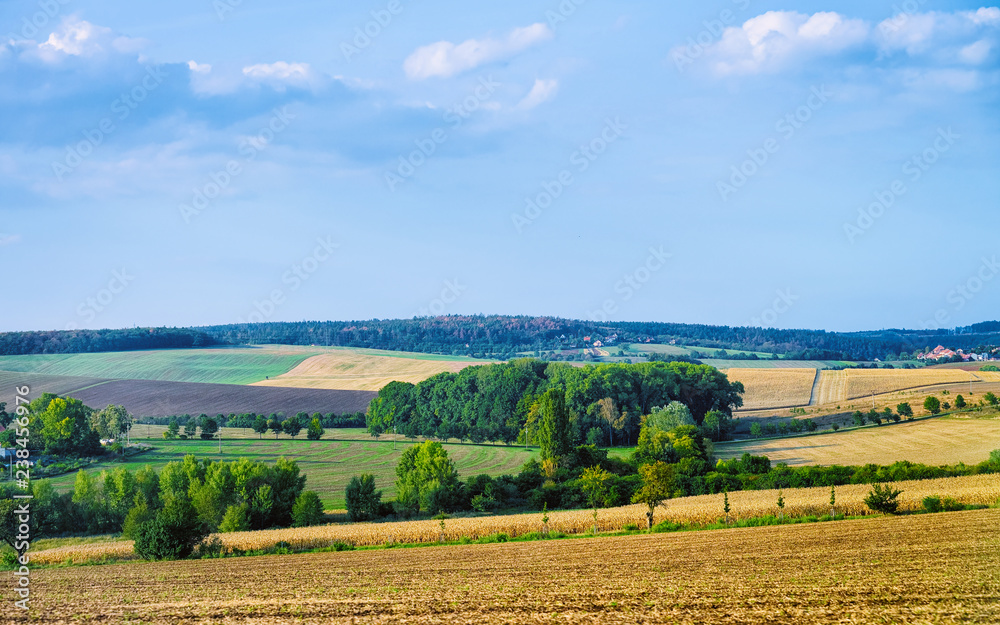Scenery with field in Czech republic