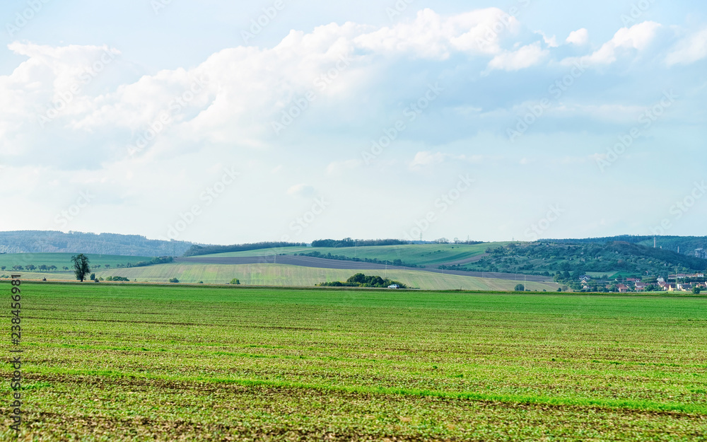 Scenery of field in Czech republic