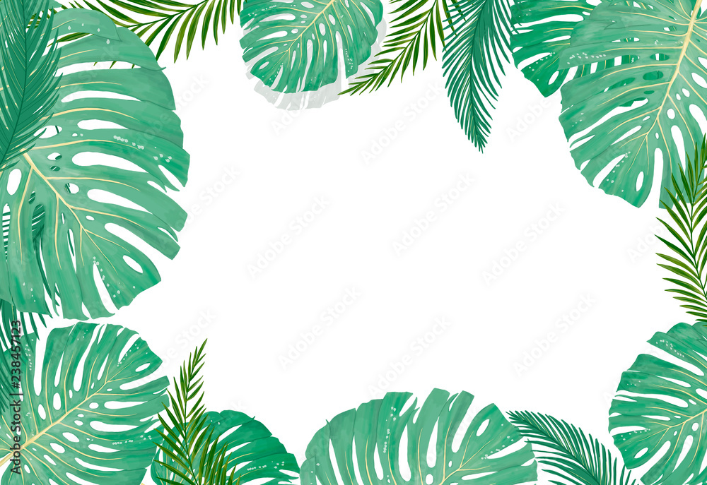 tropical botanical plants, background with leaves of coconut and banana design card jungle leaf on white background