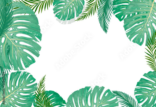 tropical botanical plants  background with leaves of coconut and banana design card jungle leaf on white background
