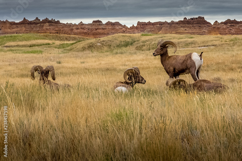 Badlands National Park © Mark Paul