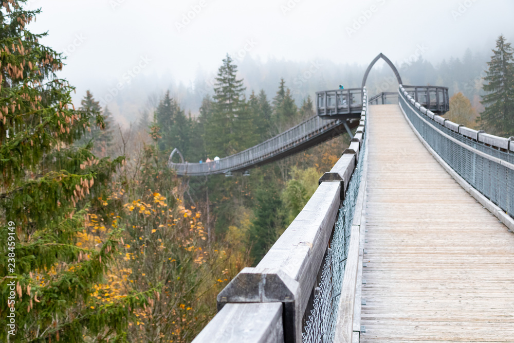 Obraz premium baumkronenweg Ziegelwies amusement park in Füssen