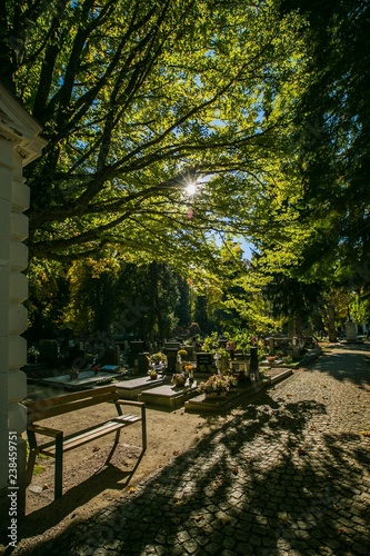 Sun shining through green leaves, trees, tombstones, flowers, bright sunny autumn evening, blue sky, shadows on paving, Czech Republic, Europe, vertical image