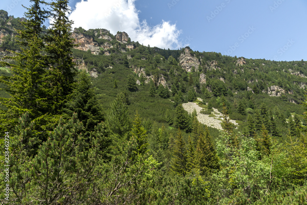 Landscape from hiking trail for Malyovitsa peak, Rila Mountain, Bulgaria Landscape from hiking trail for Malyovitsa peak, Rila Mountain, Bulgaria