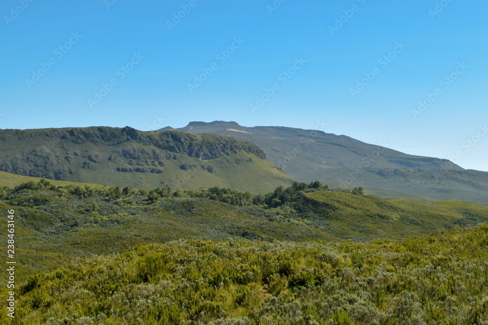 High altitude moorland against a mountain background and blue sky, Mount Kenya National Park, Kenya