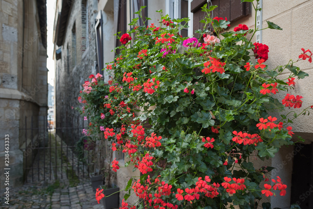 Naklejka premium French port resort town Honfleur