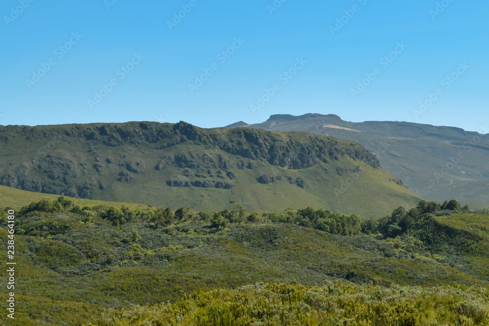High altitude moorland against a mountain background and blue sky, Mount Kenya National Park, Kenya