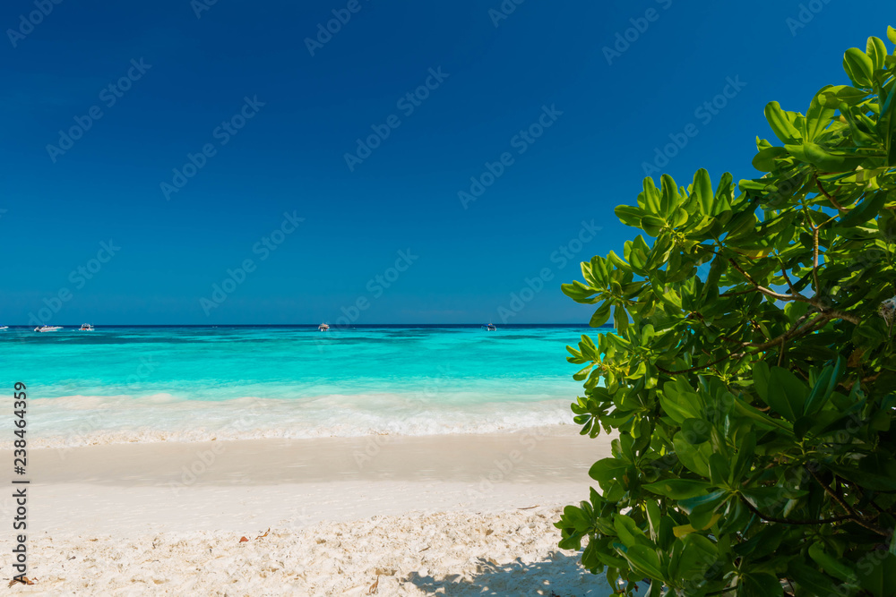 Beautiful the exotic beach and very nice beach for relaxation, Located Thacai Island, Thailand Beautiful the exotic beach and very nice beach for relaxation, Located Thacai Island, Thailand
