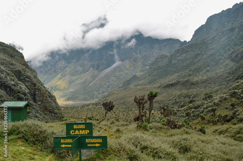 Mountain landscapes at Bujuku Valley, Rwenzori Mountains, Uganda