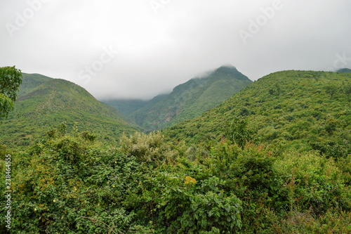 Mountain Range against a foggy background  Kijabe Hills  Rift Valley  Kenya