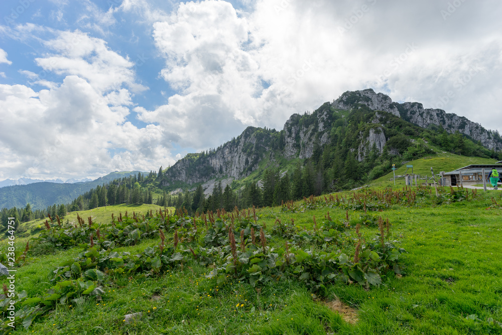 Bergstation Kampenwand Bergstation Kampenwand