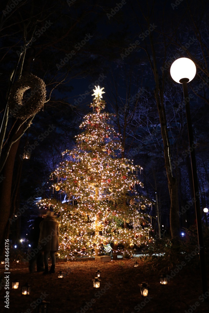 クリスマス景色 Images Browse 19 Stock Photos Vectors And Video Adobe Stock