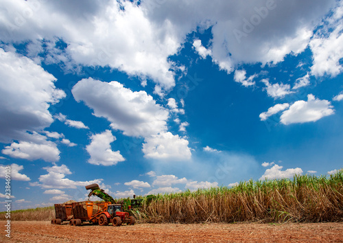 Sugarcane harvester harvesting crops against cloudy sky at farm during sunny day photo