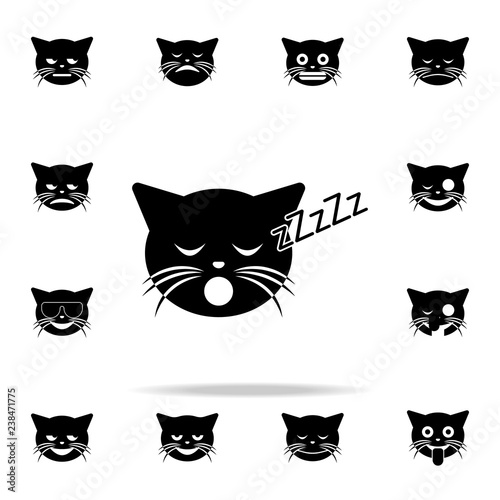 Fototapeta Naklejka Na Ścianę i Meble -  sleeping cat icon. cat smile icons universal set for web and mobile