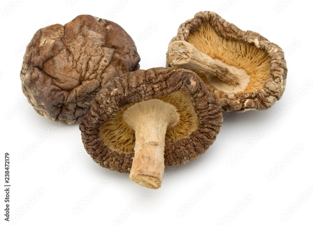 Dried Shiitake Mushroom isolated on white background Dried Shiitake Mushroom isolated on white background