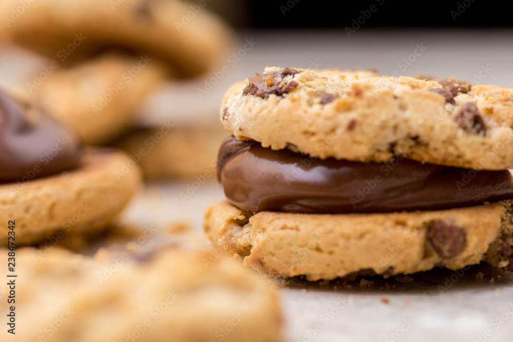 chocolate cookies chocolate cookies