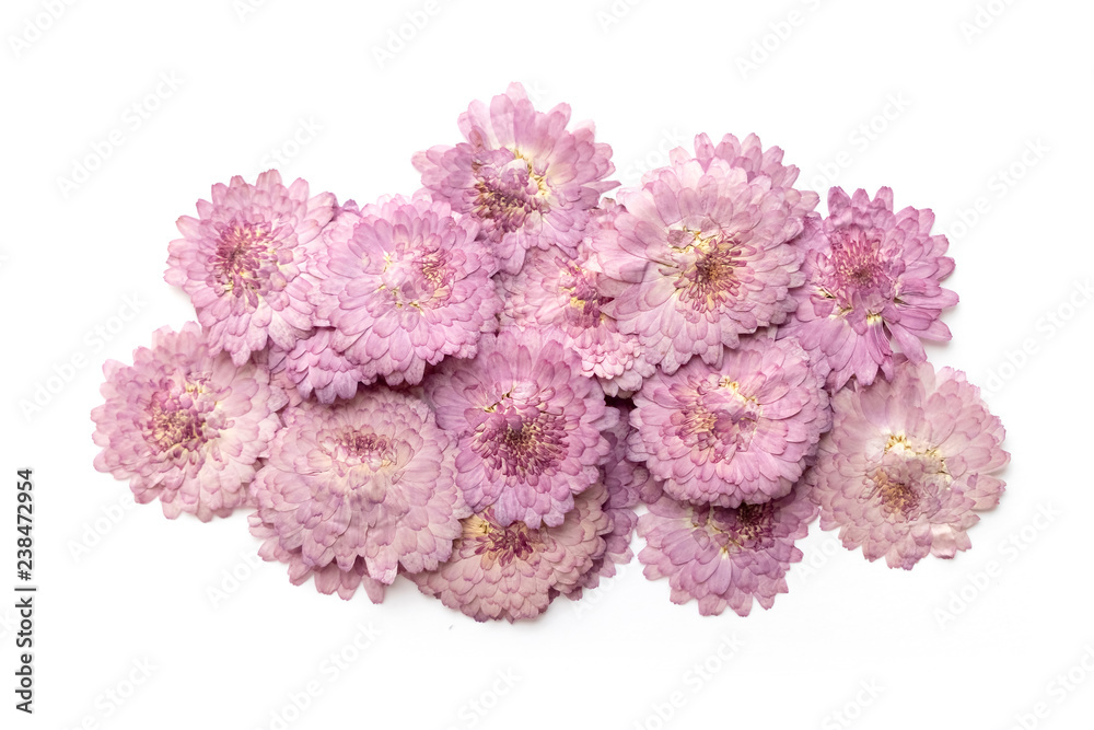 Pink flower background isolated on white. Abstract blooming flower. Pink flower background isolated on white. Abstract blooming flower.