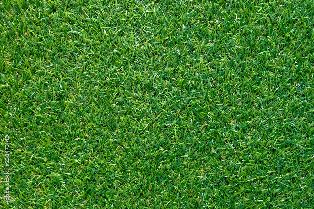 Green grass texture for background. Green lawn pattern and texture. top view. Green grass texture for background. Green lawn pattern and texture. top view.