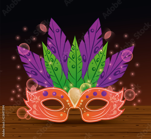 Mardi gras mask