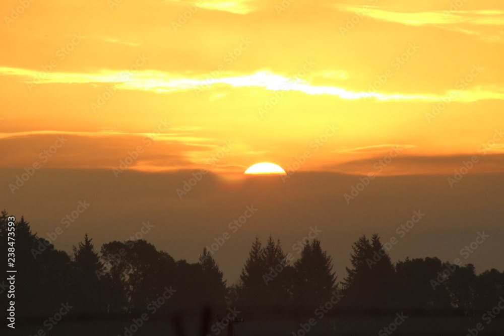 Obraz premium morning