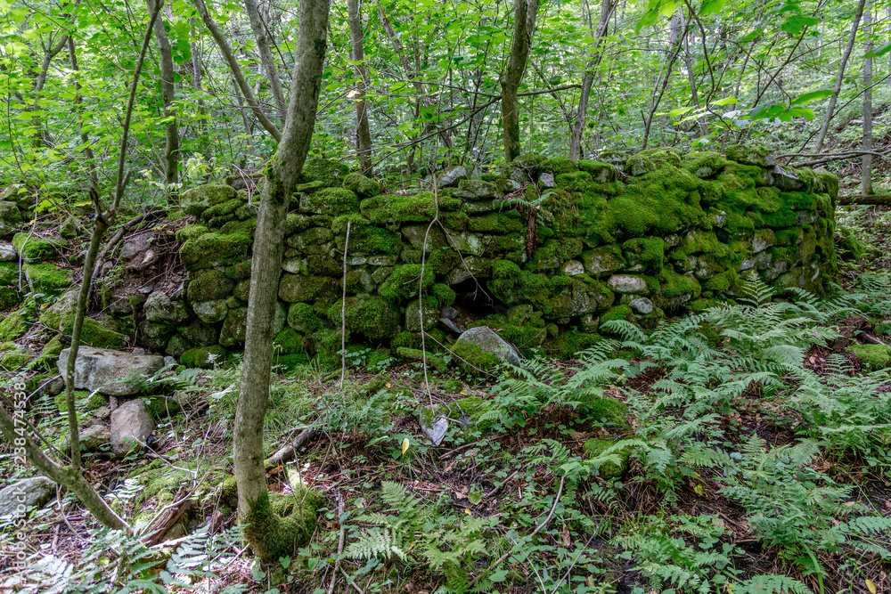 Obraz premium Gully Brook Charcoal Kiln