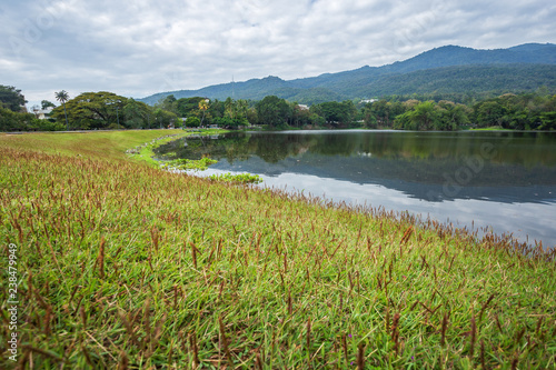Mountain range forest with the reservoir blue sky background in Ang Kaew Chiang Mai University,Thailand. © Thinapob