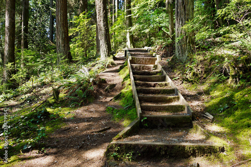 Steps On The Capilano Pacific Trail