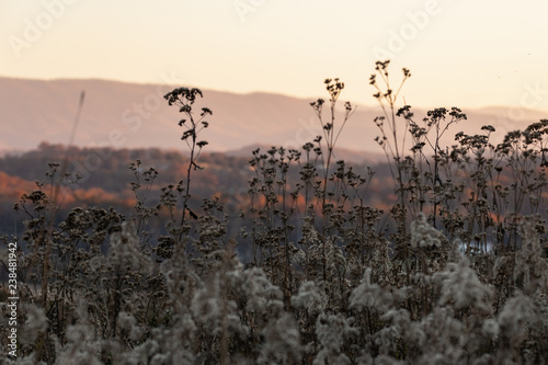 Scenics seen from Seven Islands Birding Park in Kodak, Tennessee