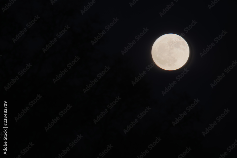 Moon seen from Seven Islands Birding Park in Kodak Tennessee Moon seen from Seven Islands Birding Park in Kodak Tennessee