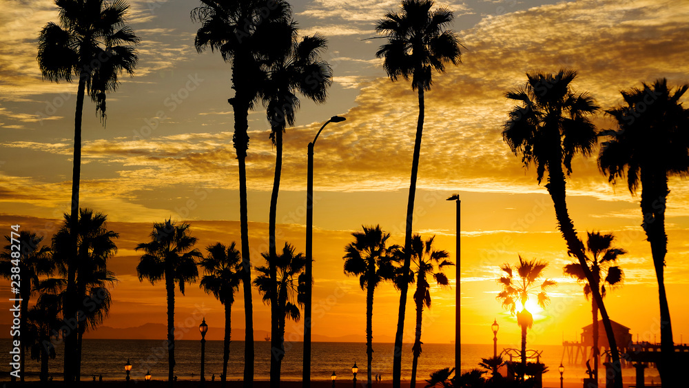 CA beach sunset