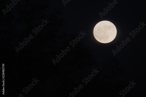 Moon seen from Seven Islands Birding Park in Kodak Tennessee