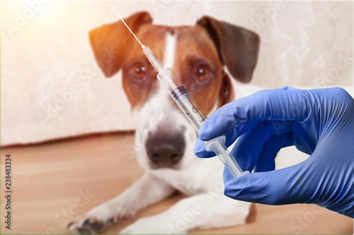 Canvastavla Rabies.