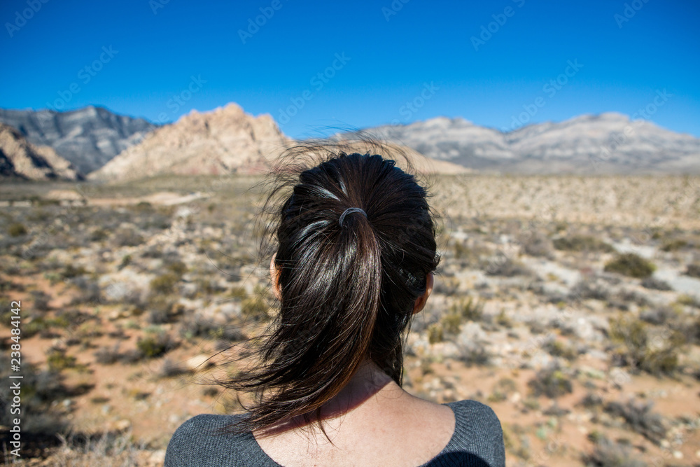 Back Of Black Hair Young Woman Staring Into Vast Desert Landscape, Concept Of Thought, Travel, Self-Reflection