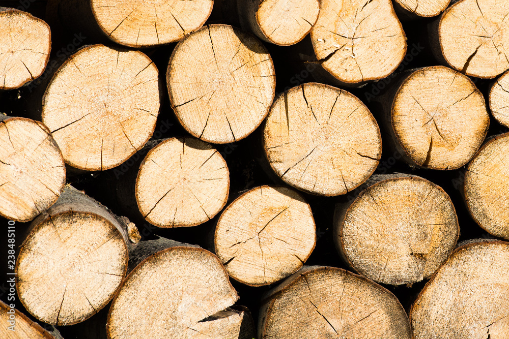 Round firewood, stacked in woodpile, texture Round firewood, stacked in woodpile, texture