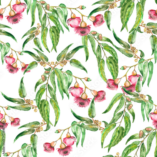 flowers of eucalyptus seamless pattern