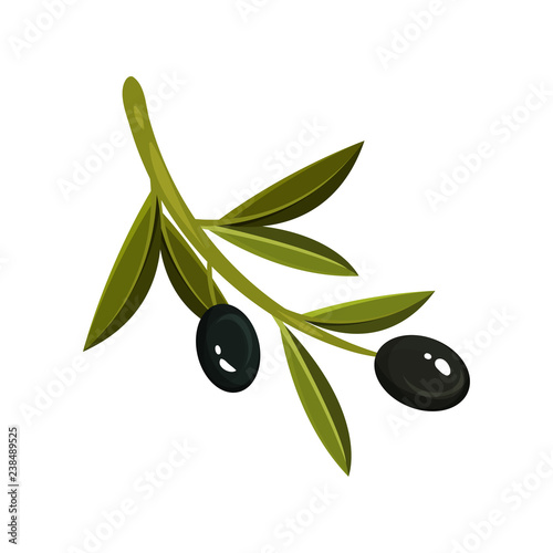 Flat vector icon of small sprig with two black olives and green leaves. Small oval fruit. Natural product