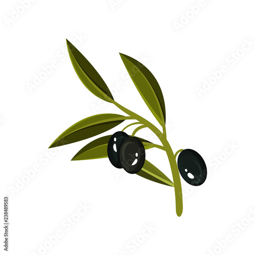 Small sprig with three black olives and green leaves. Organic and healthy product. Flat vector icon