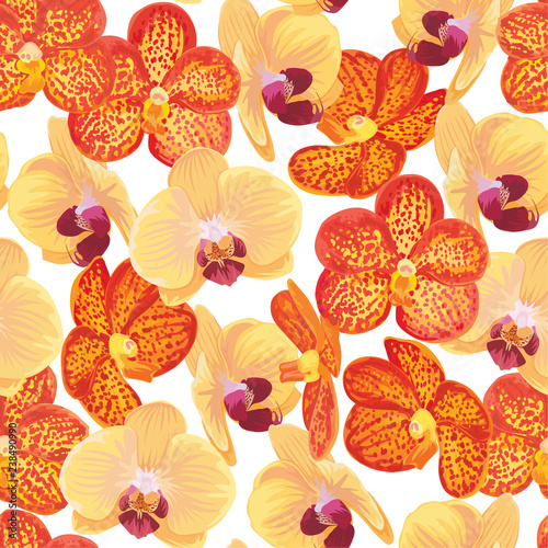 Seamless pattern of orange and yellow orchid flower on white background. Vector set of exotic tropical garden for holiday invitations, wedding, greeting card and fashion design.