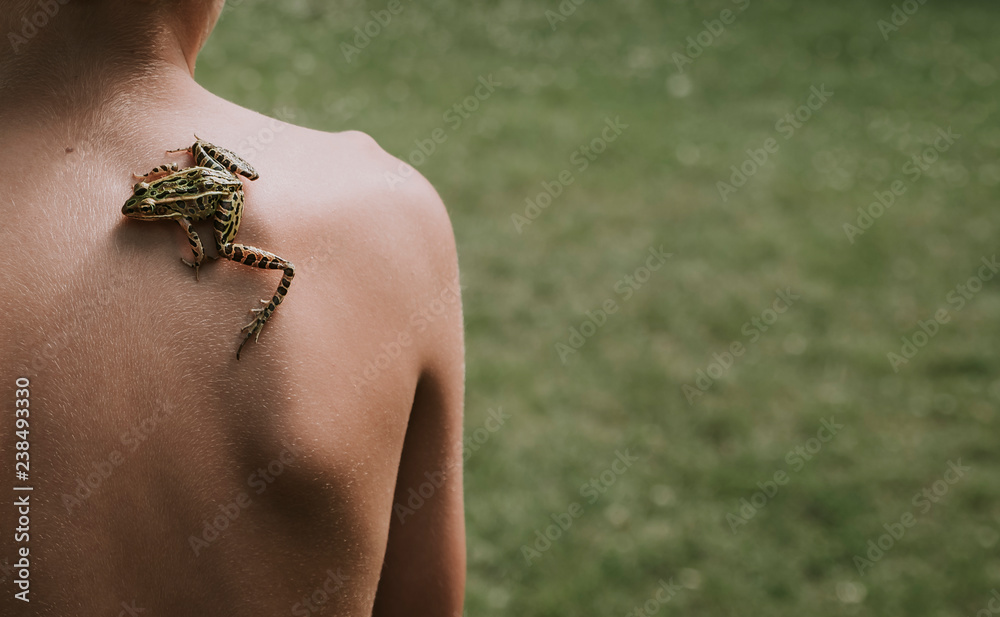 Rear view of shirtless boy with frog on back sitting against grassy field