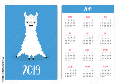 Cute alpaca llama sitting. Simple pocket calendar layout 2019 new year. Week starts Sunday. Vertical orientation. Cartoon kawaii funny baby character. Flat design. Blue background.