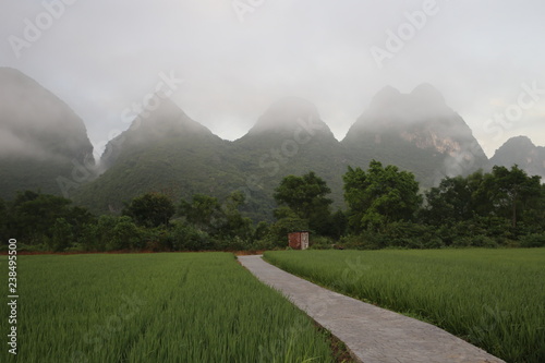 Beautiful Landscape in Yangshuo, China