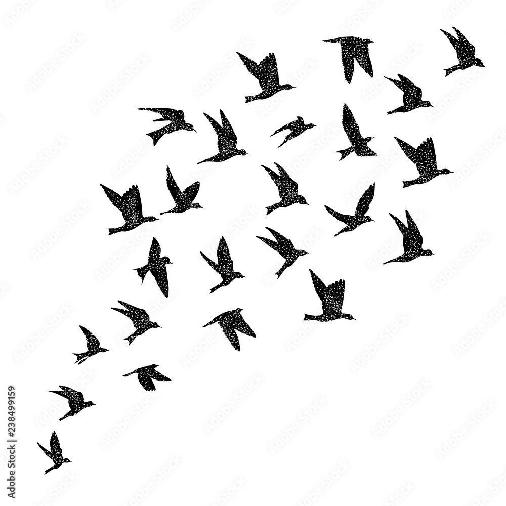 Isolated textured stipple silhouette of birds flock in the air Inspirational body flash tattoo ink. Vector. Isolated textured stipple silhouette of birds flock in the air Inspirational body flash tattoo ink. Vector.