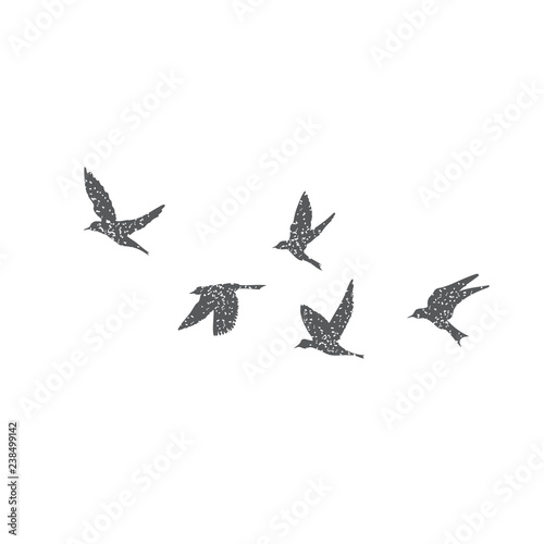 Silhouette of city flying birds on white background. Inspirational body flash tattoo ink. Set of textured stipple grey birds fly swallows, hand made. Vector.