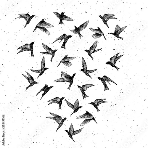 Set of black hand drawn strokes birds, flock. Drawing sketch. On textured Abstract grainy texture dust stain particles like stipple. Inspirational body flash tattoo ink.  Vector.