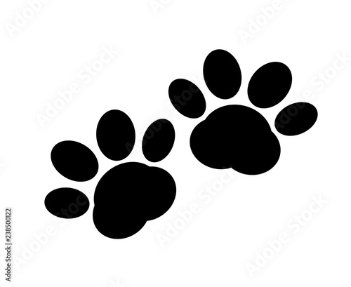 A pair of traces from the paws (imprint) of a wild animal.