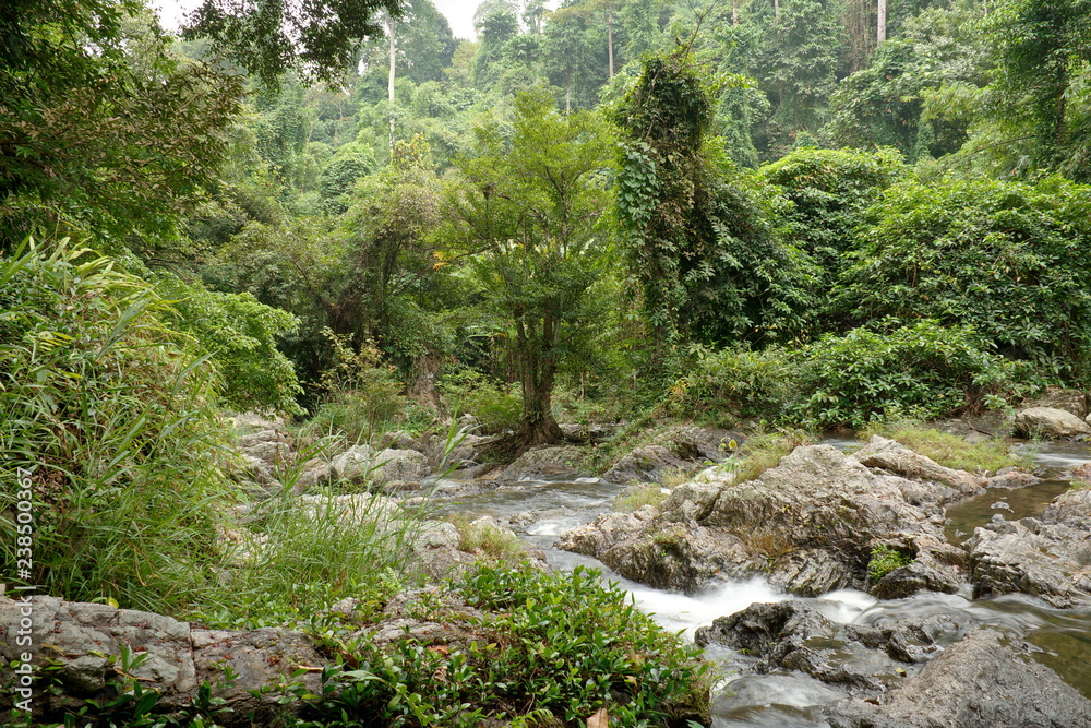 Obraz premium Forest and waterfall