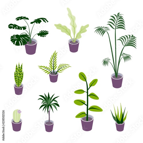 Set of vector isometric potted plants illustrations for indoor design illustrations