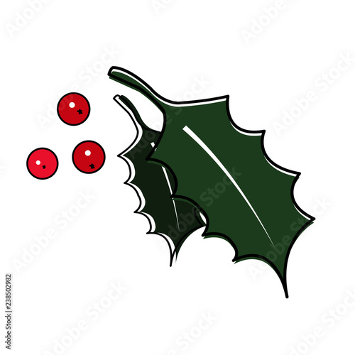 Christmas holly with berries. Vector illustration on white background