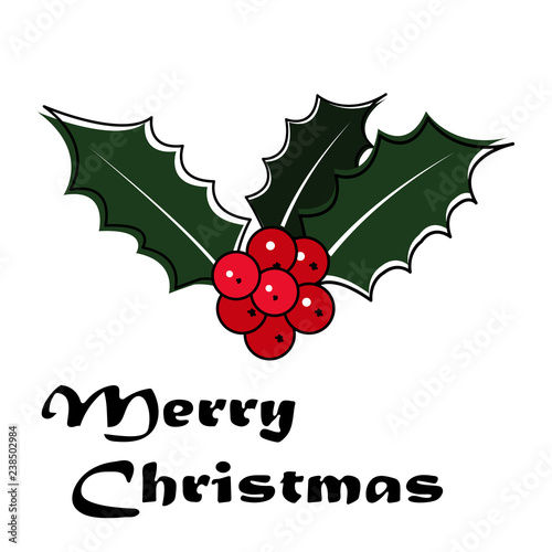Christmas holly with berries. Vector illustration on white background